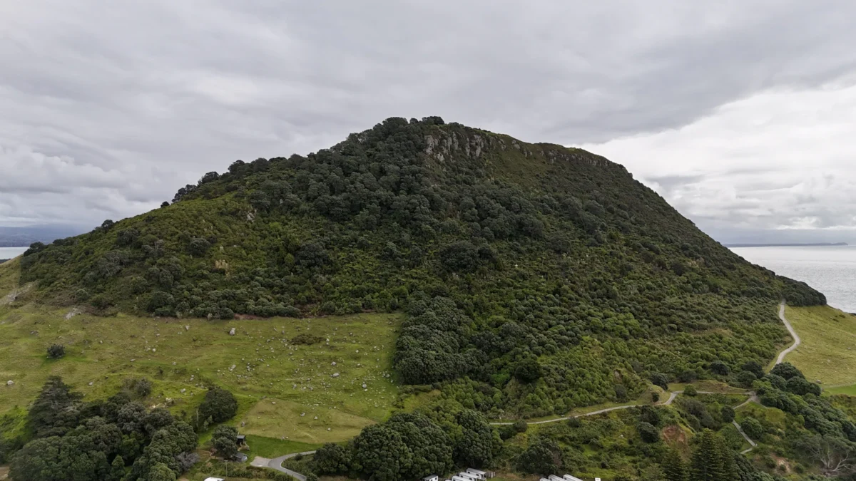 an aerial view of a grassy area with a mountain in the background