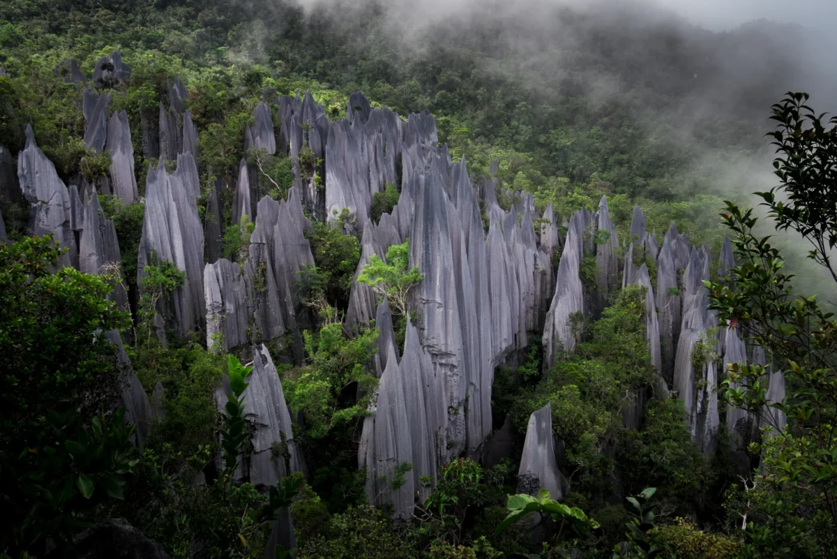 Jagged mountain range with clouds and green forest