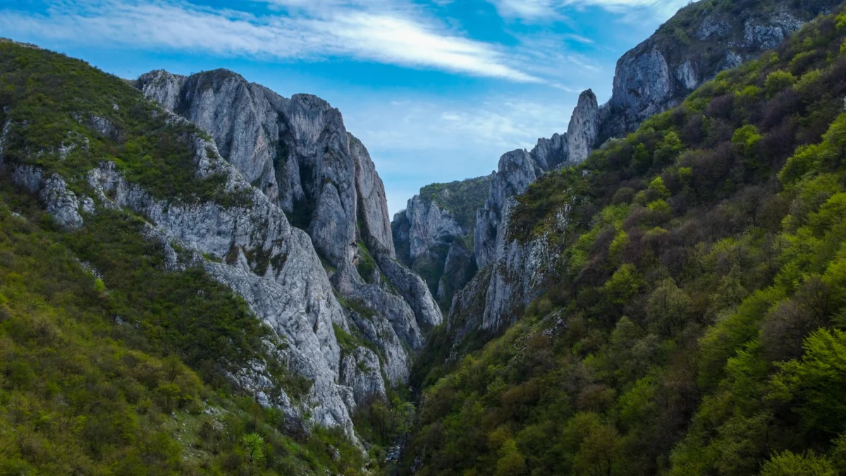 Cheile Turzii Gorge Trail Photo