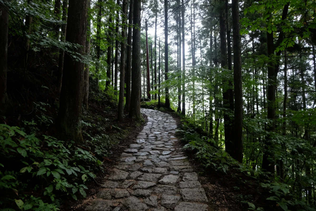 Nakasendo Trail (Magome to Tsumago) Photo