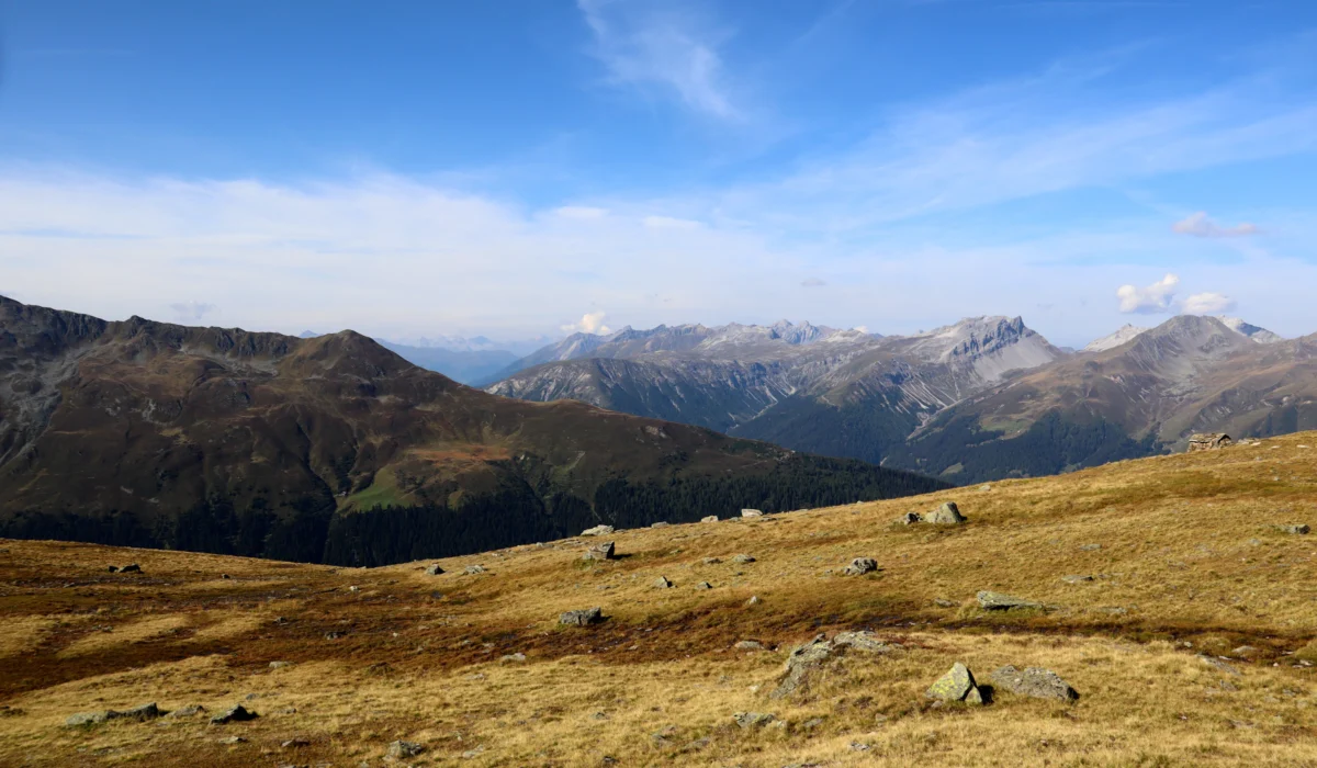 a valley with mountains in the background