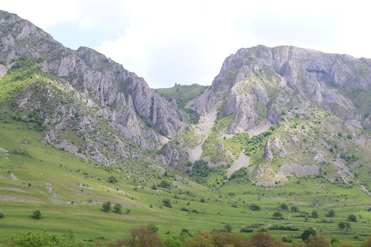 a lush green hillside with a mountain in the background