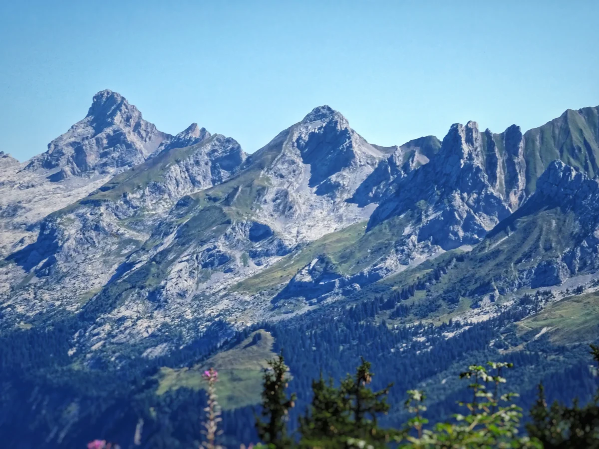 A view of a mountain range with trees in the foreground