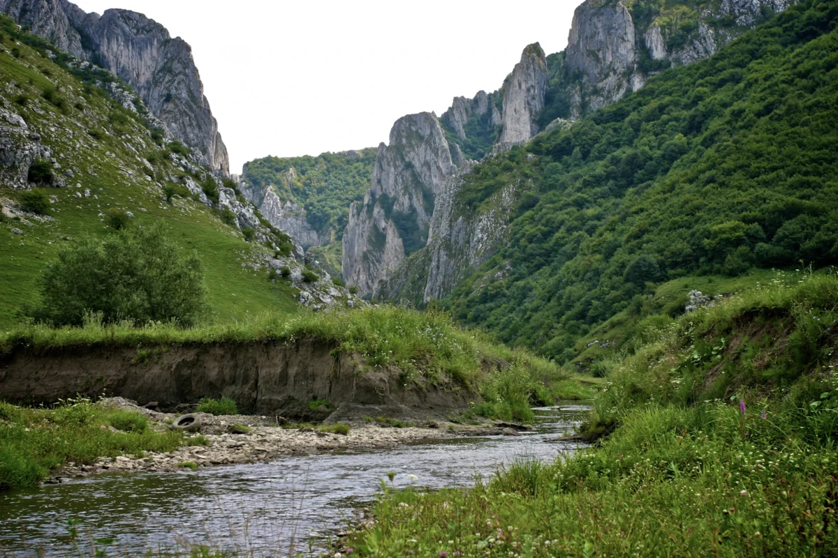 green and gray mountain beside river during daytime