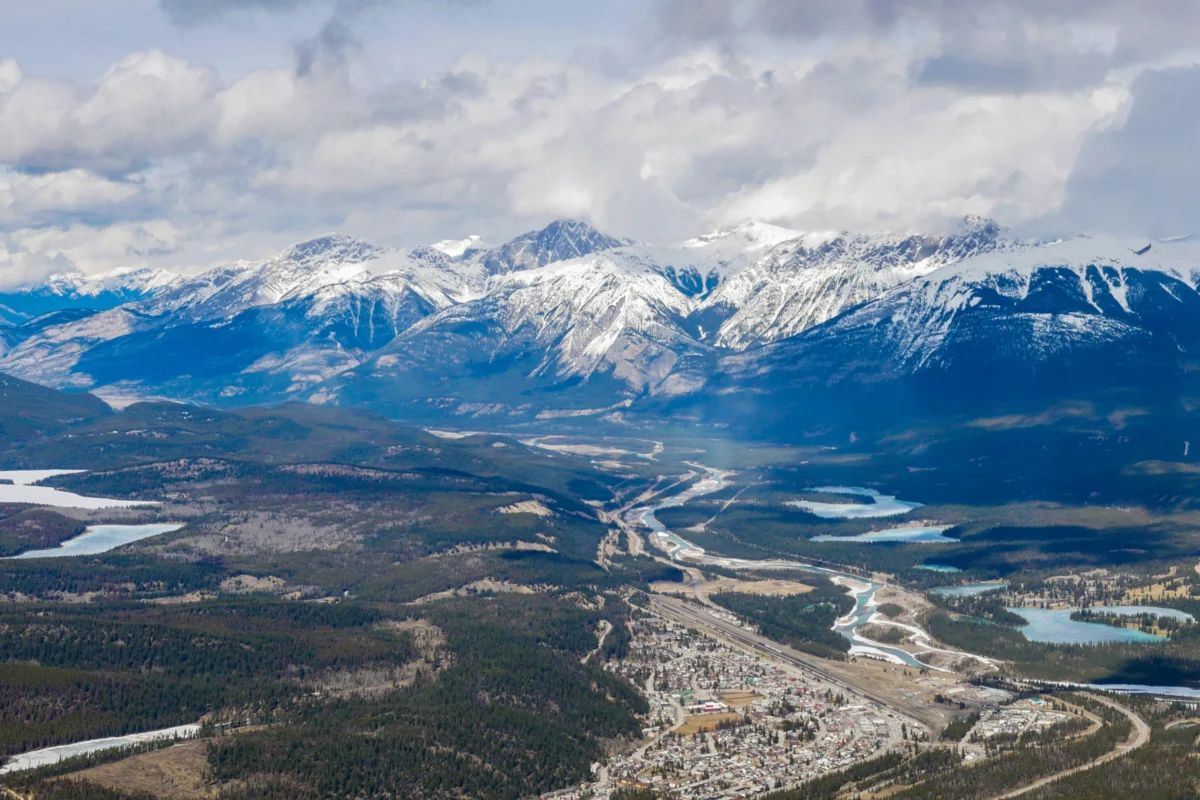 aerial photography of field during daytime