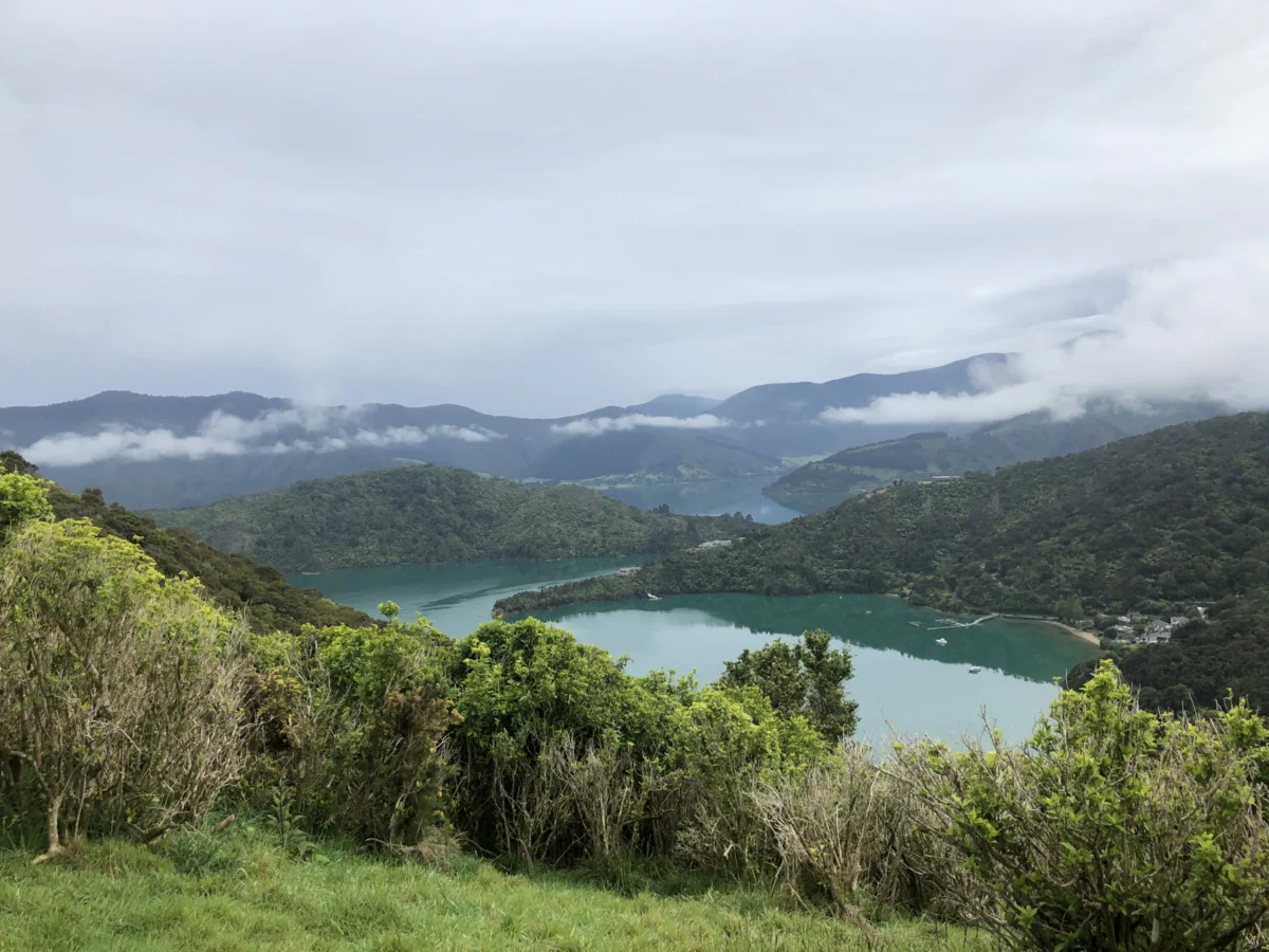 Queen Charlotte Track Photo