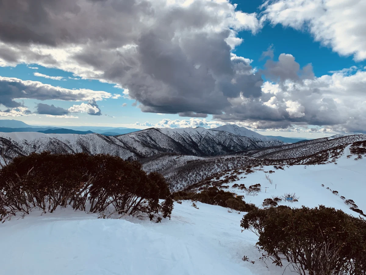 Mount Feathertop Razorback Walk Photo
