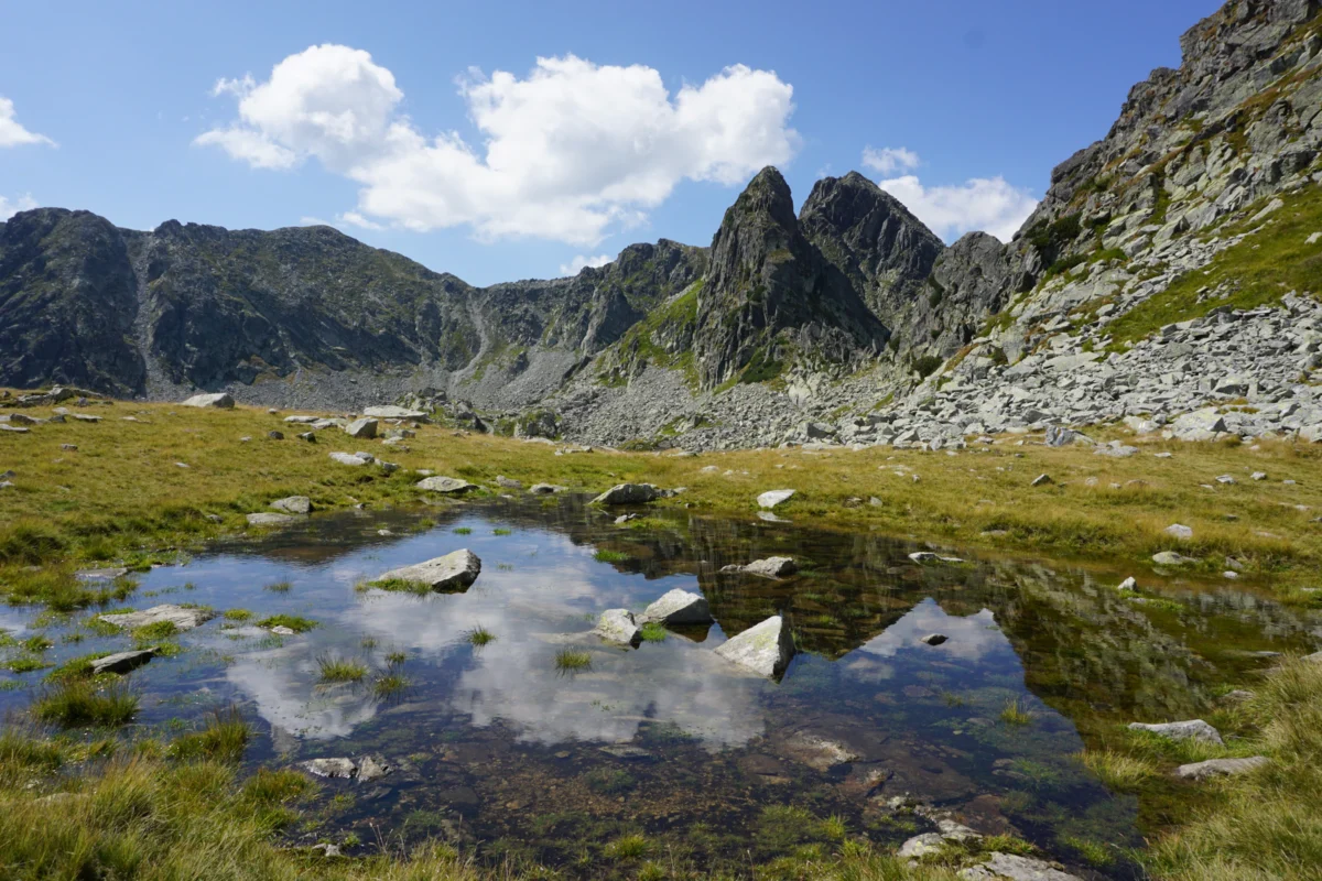 woman standing on rock facing mountains