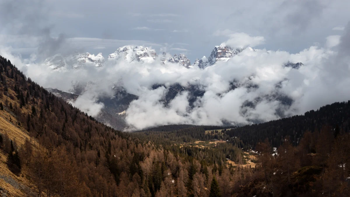 A view of a valley with mountains in the background