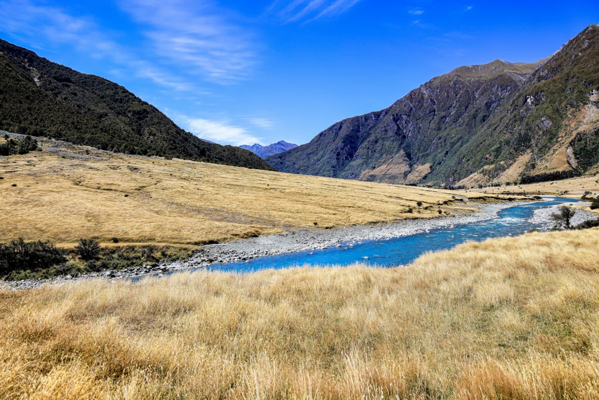 Rob Roy Glacier Track Photo