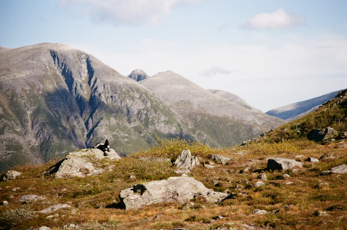 Rocky mountain landscape with sparse vegetation under a clear sky