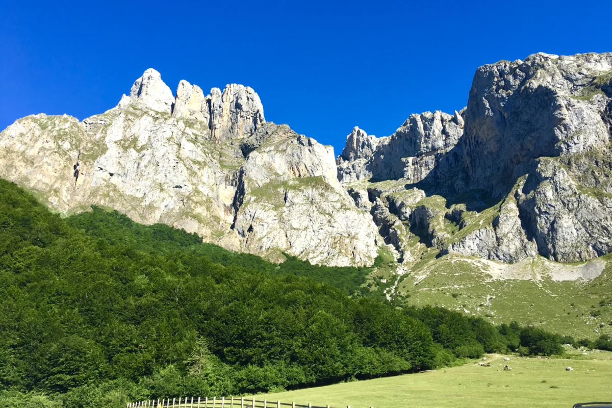 A scenic view of a town with mountains in the background