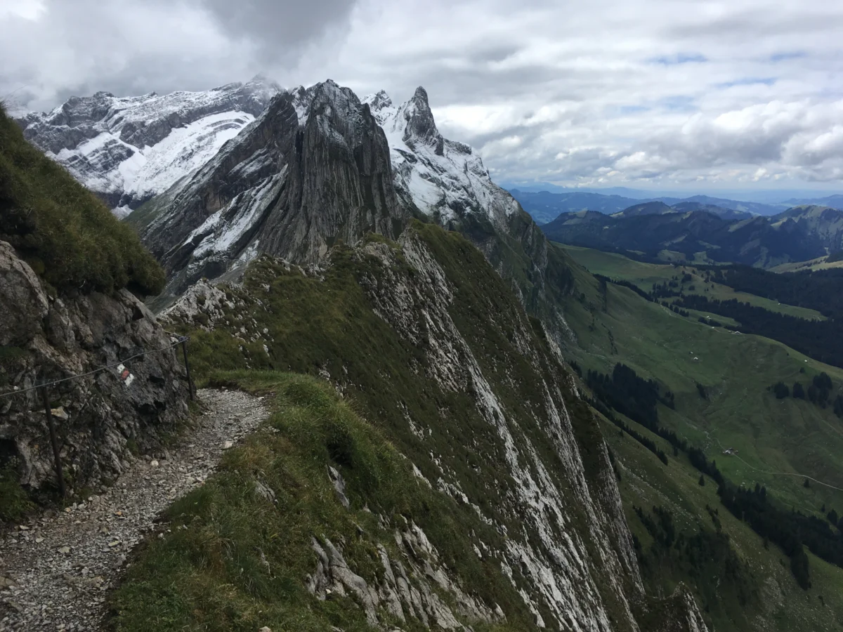 a view of a valley with a mountain in the background