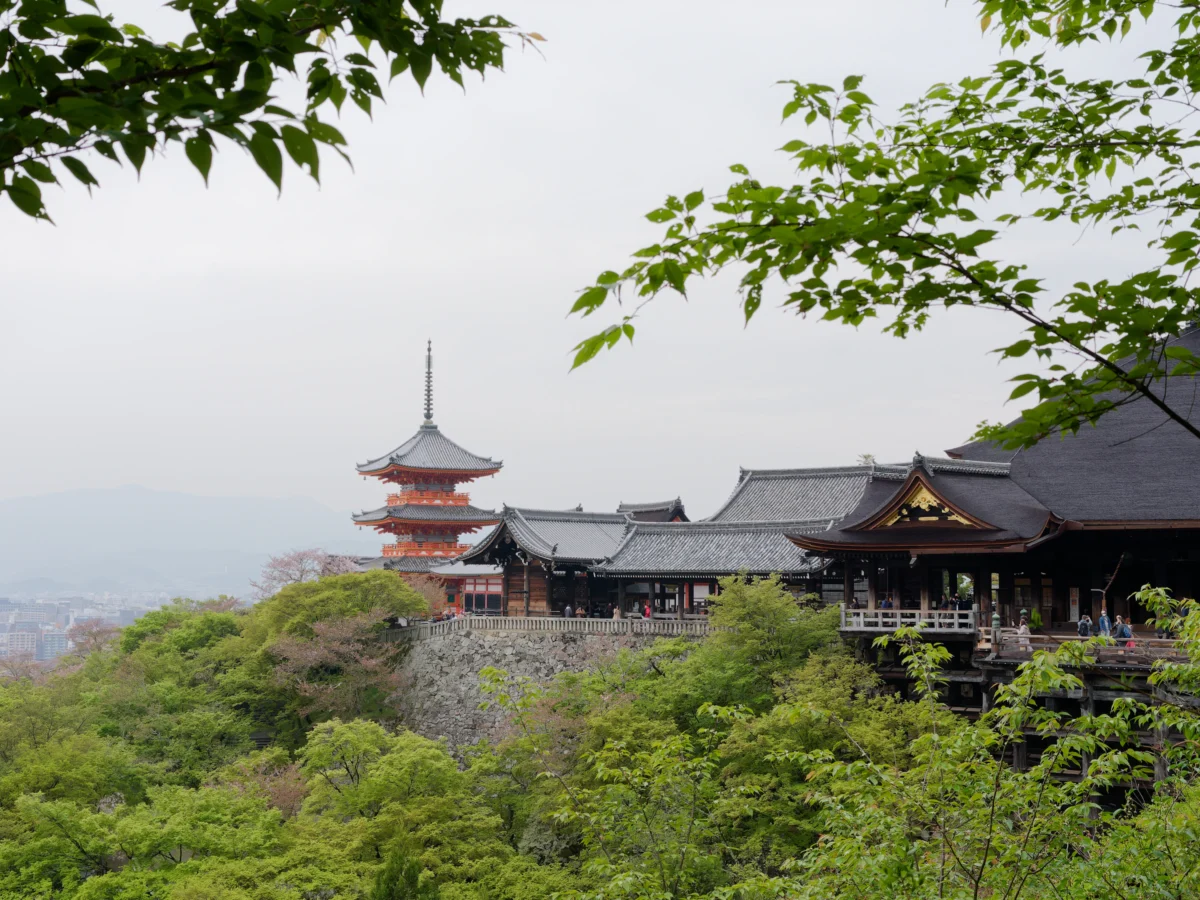 a building on top of a hill surrounded by trees