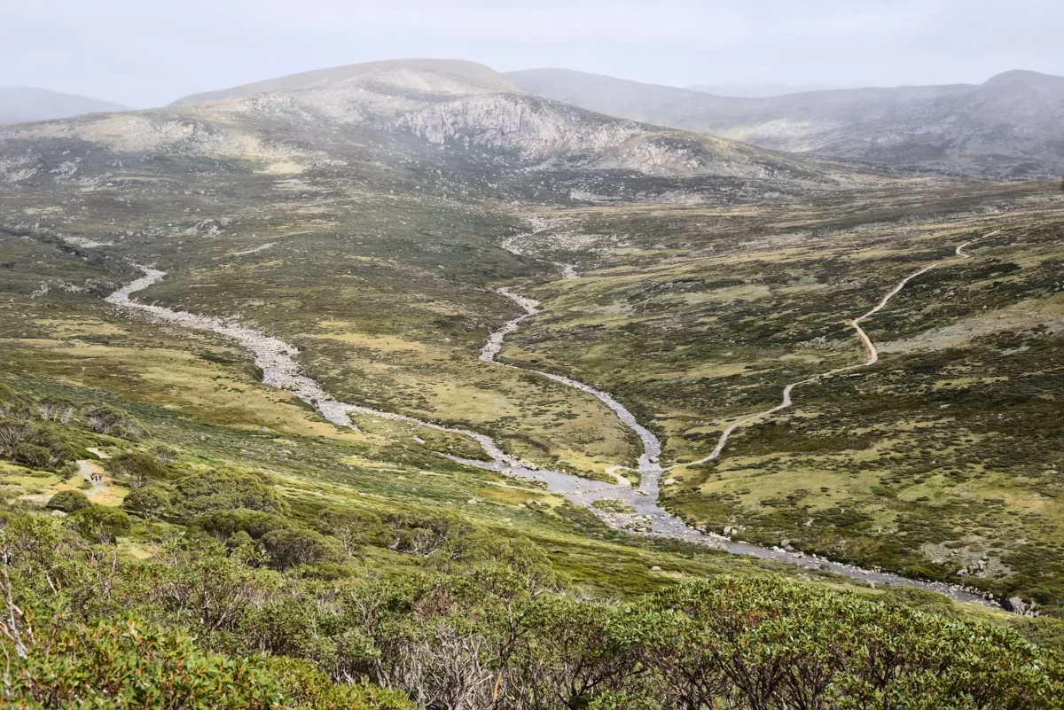 A winding road in the middle of a forest