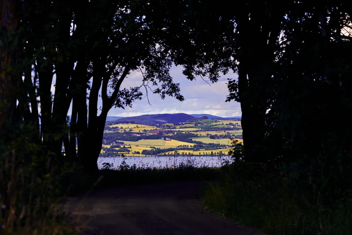 Scenic landscape of St. Olavs Way in Norway