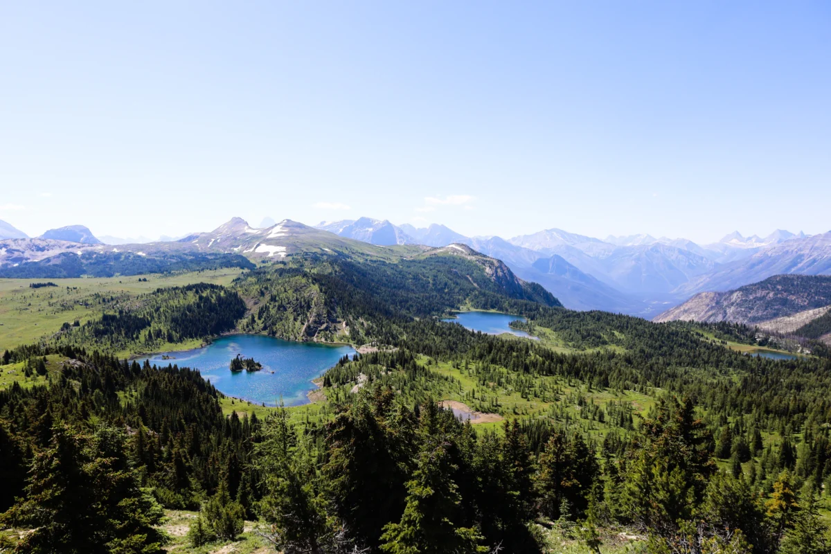Sunshine Meadows Trail Photo