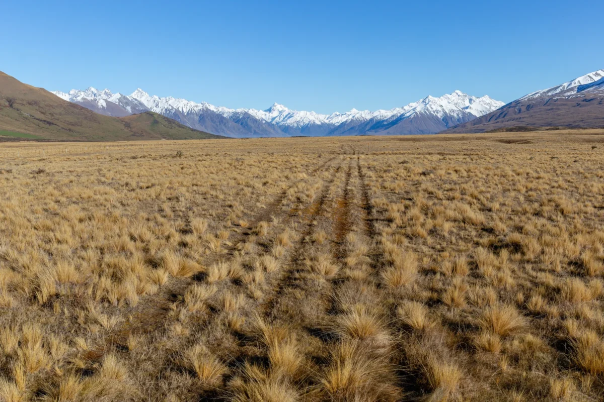 Te Araroa Trail Photo