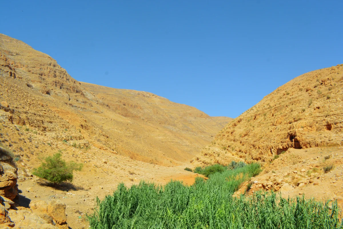 The Abraham Path Photo