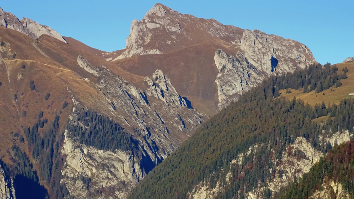 green trees on mountain under blue sky during daytime