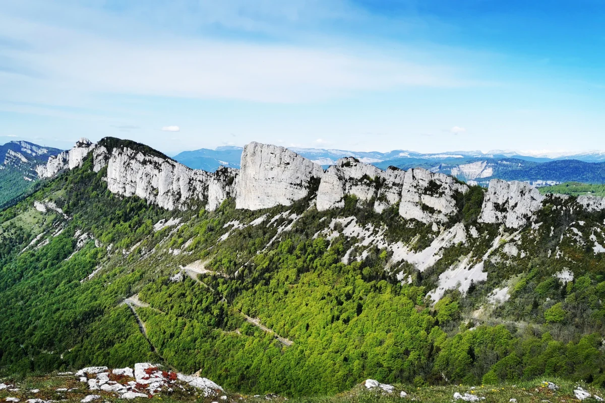 green grass and gray rocky mountain under blue sky during daytime