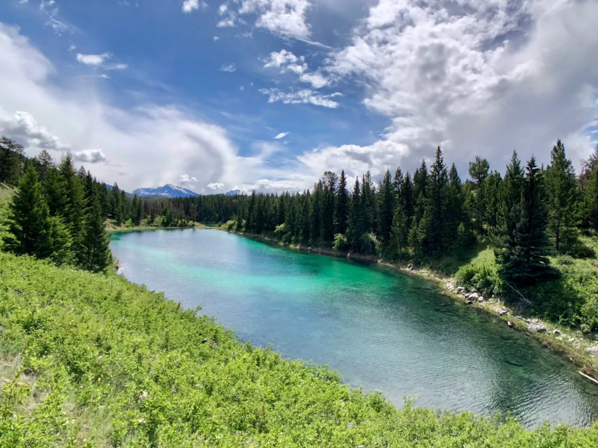 a large body of water surrounded by trees