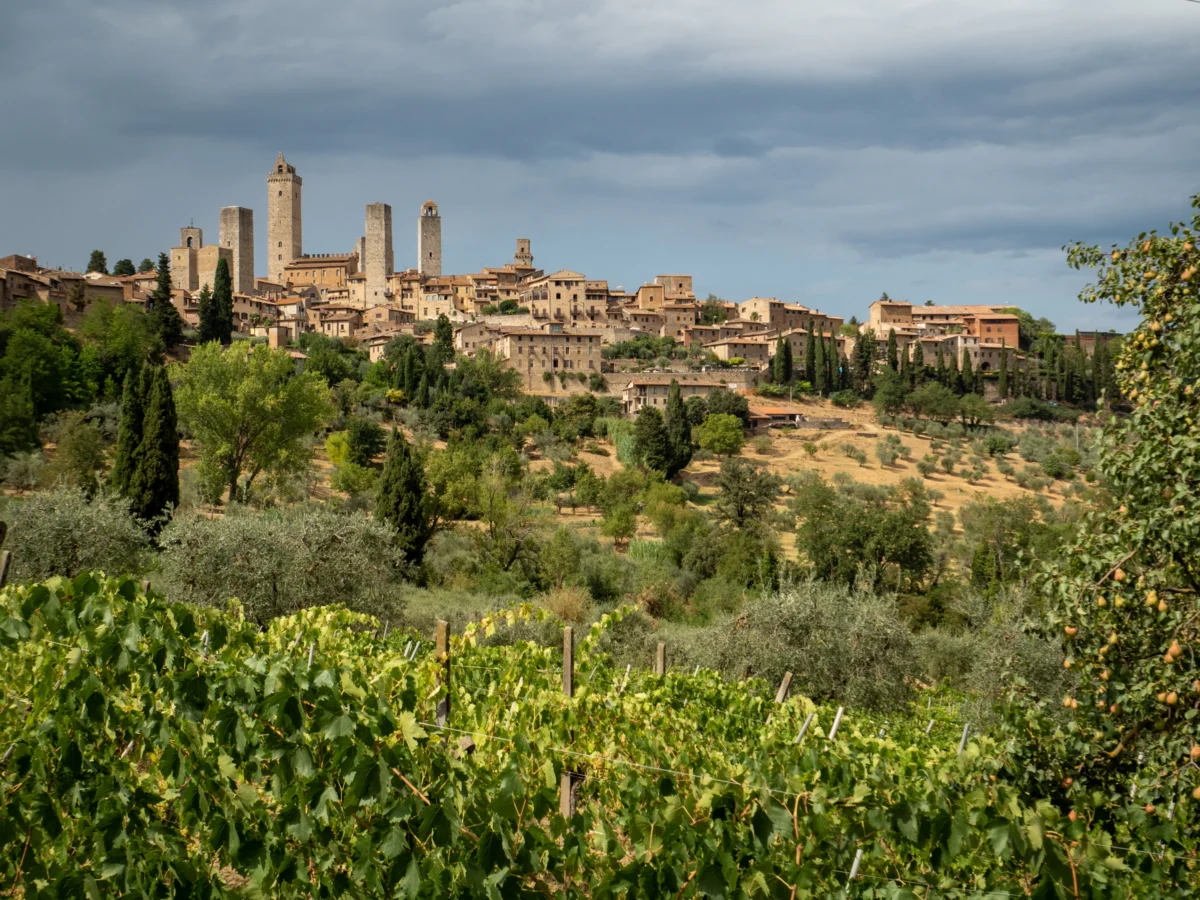 Via Francigena (Tuscany) Photo