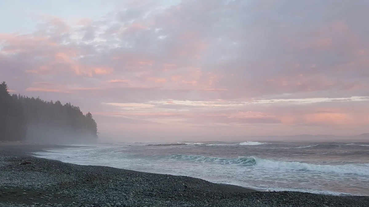 Scenic landscape of West Coast Trail (Day Section) in Canada