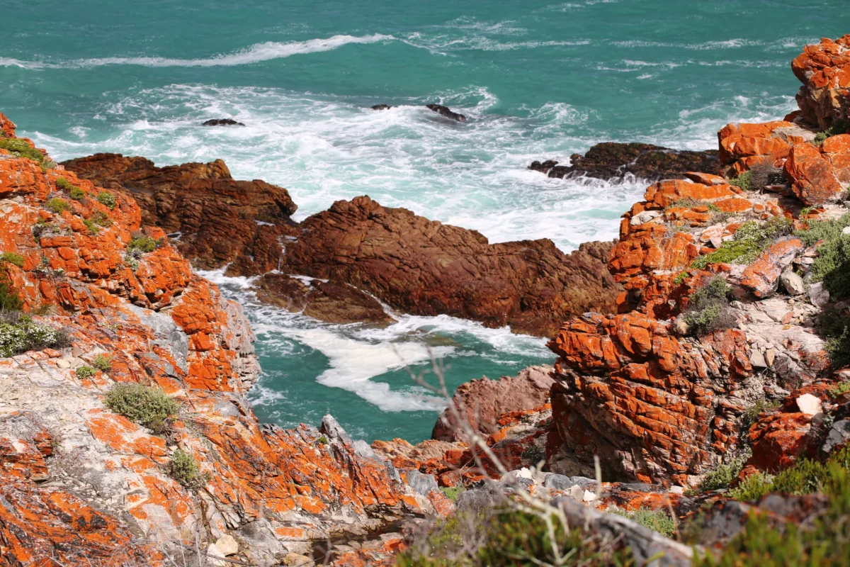 Scenic landscape of Whale Trail in South Africa