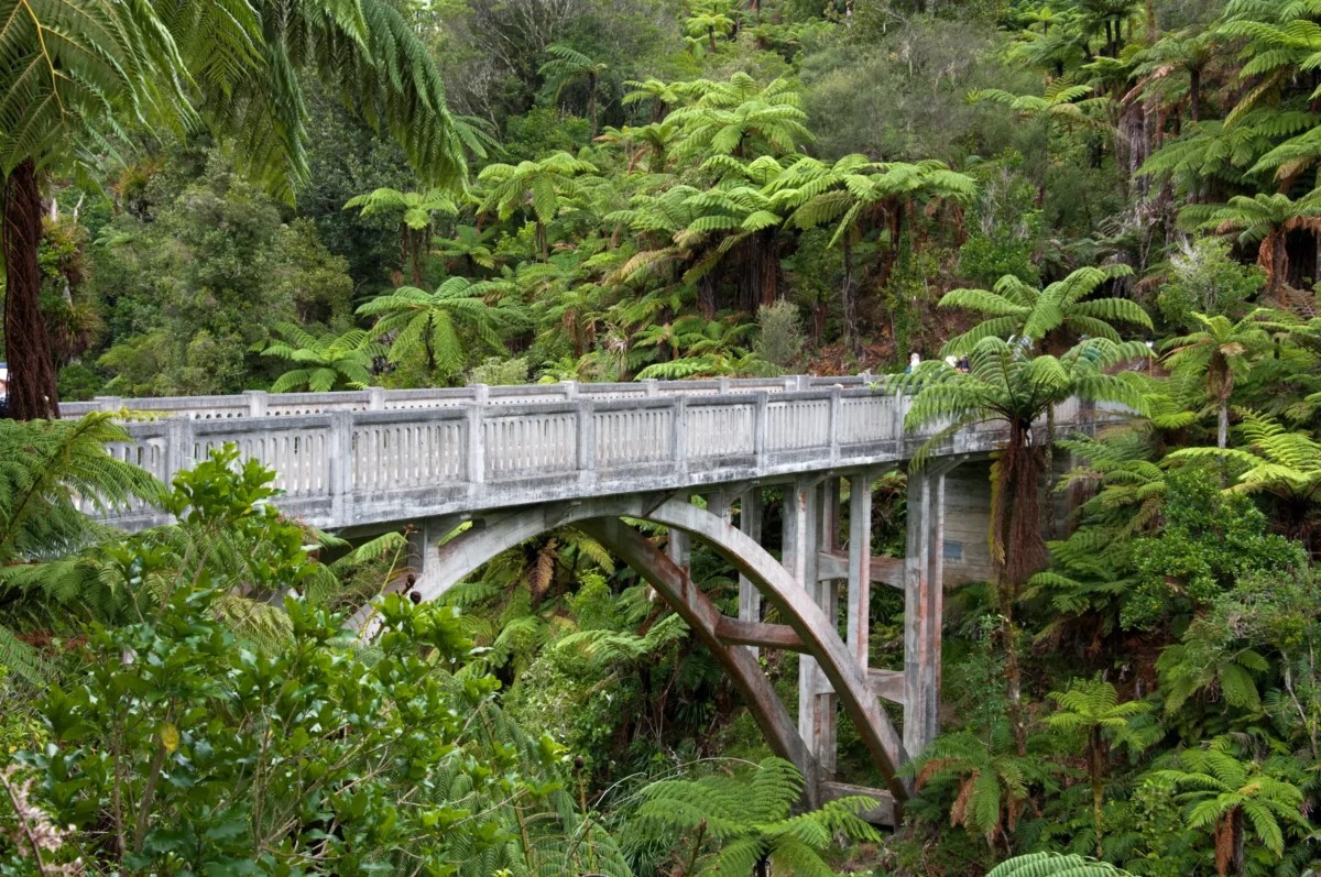 Scenic landscape of Whanganui Journey in New Zealand
