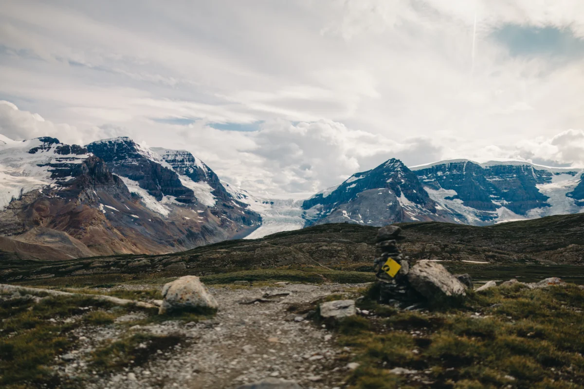 Wilcox Pass Trail Photo