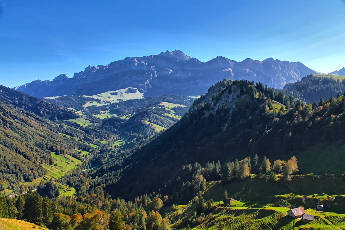 a scenic view of a valley with mountains in the background