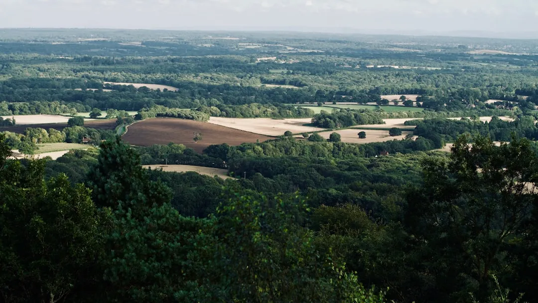 The Ridgeway Trail Photo