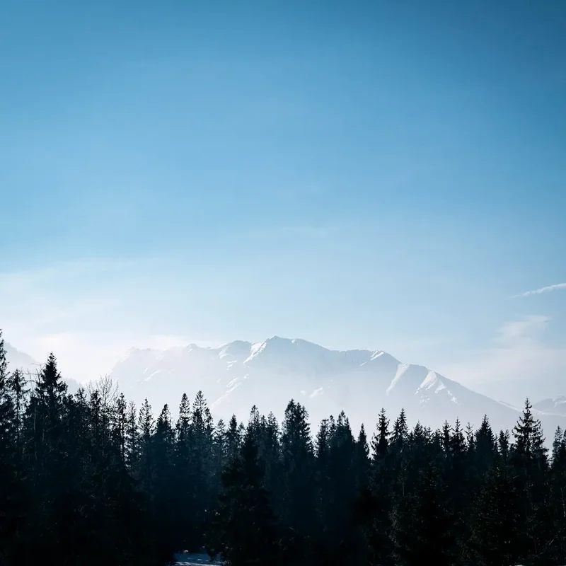 landscape photo of mountain