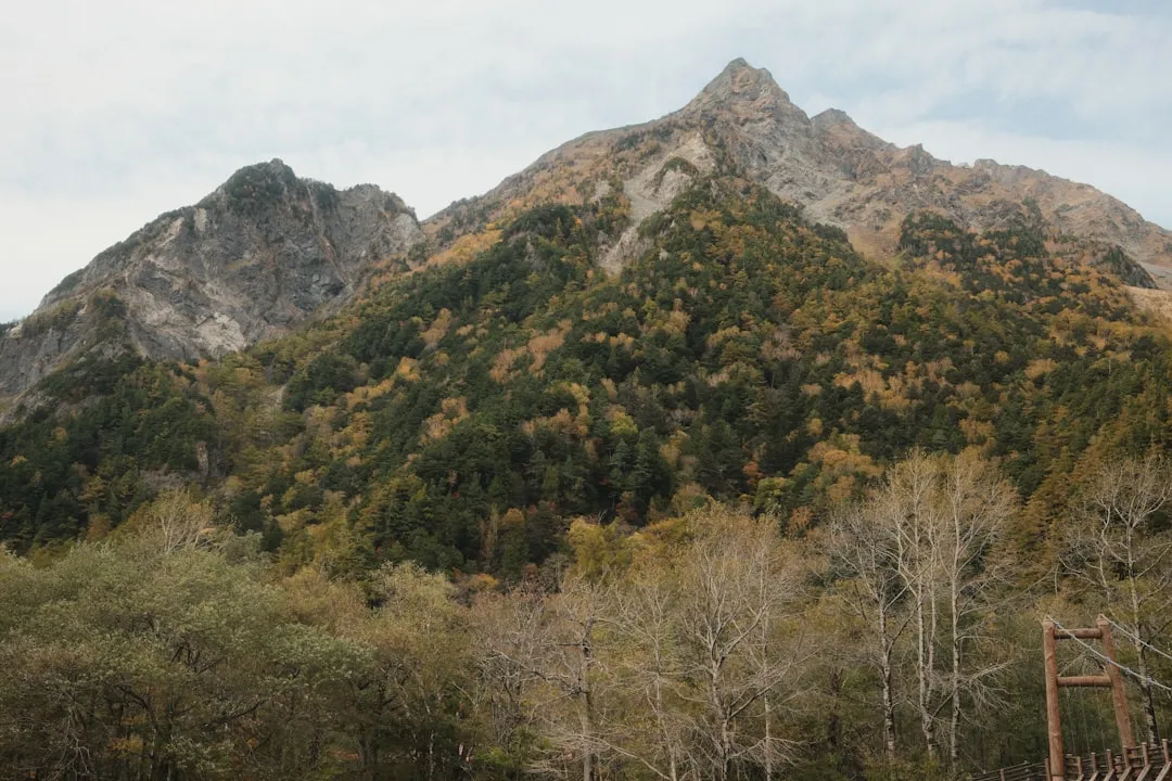 Sakurajima Lava Trail Photo