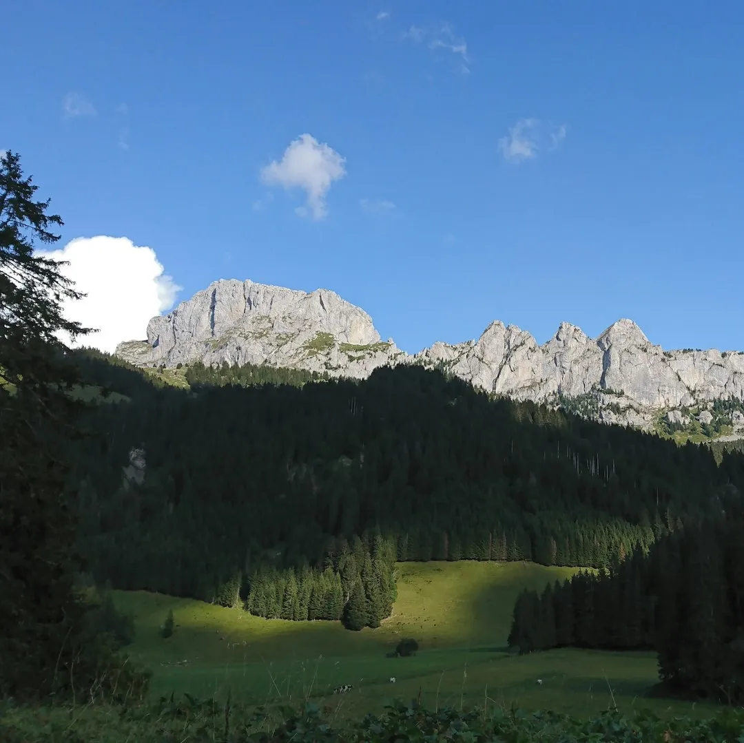 Sentiero Cristallina Photo