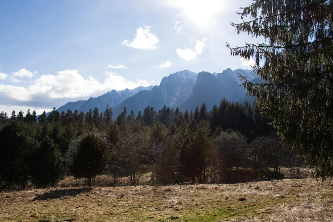 Sphinx and Babele Trail Photo