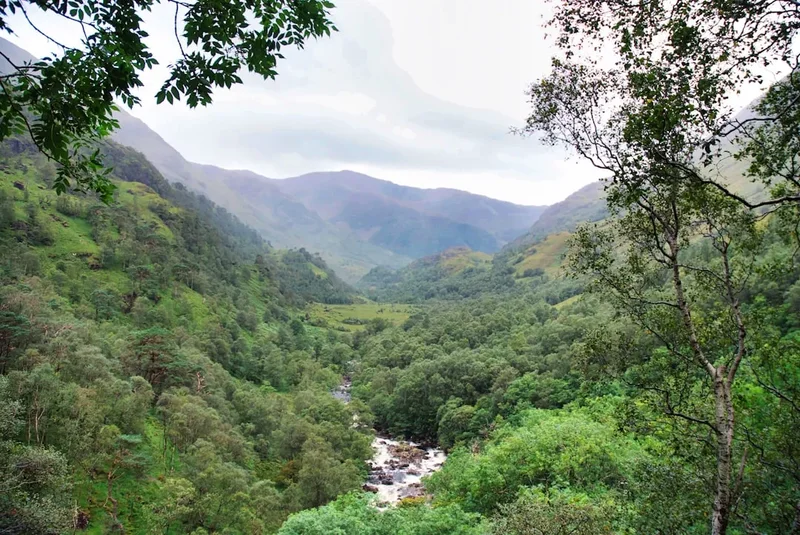 Lush green valley with a river and mountains.