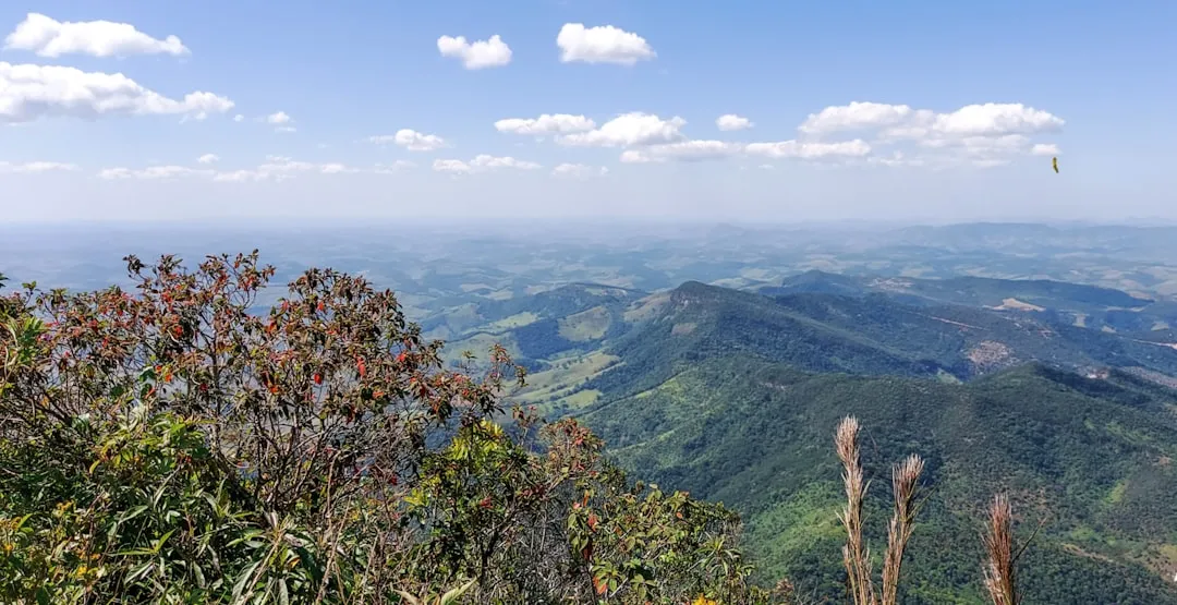 Trilha da Cachoeira do Tabuleiro Photo