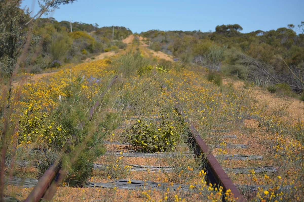 Overland Track (Day Section) Photo