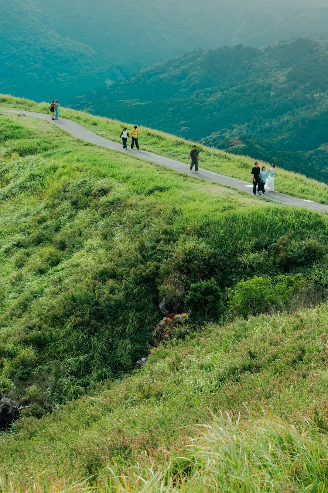 Togakushi Trail Network Photo