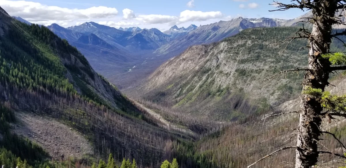 Tonquin Valley Trail Photo