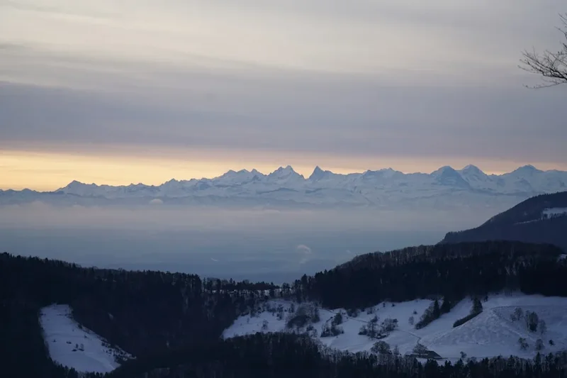 green trees on mountain during daytime
