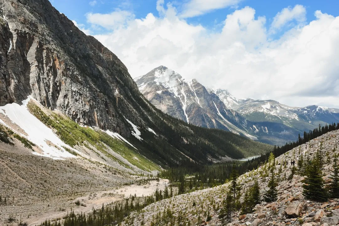 Avalanche Lake via Trail of the Cedars Photo