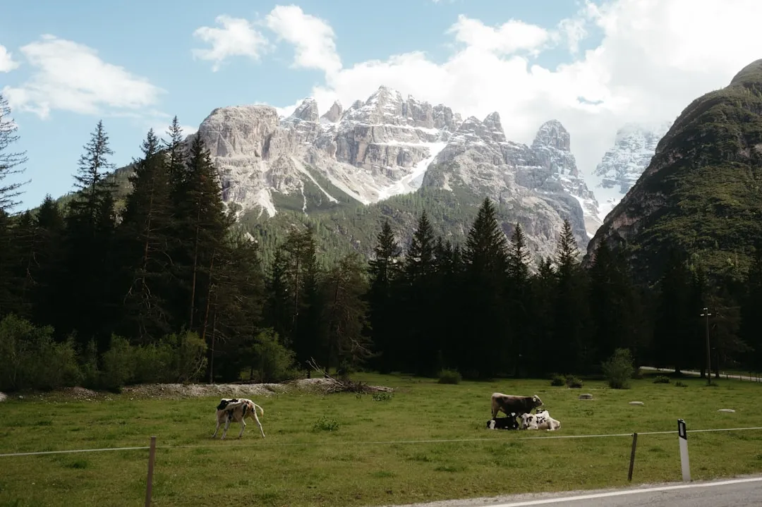 Tre Cime di Lavaredo Loop Photo