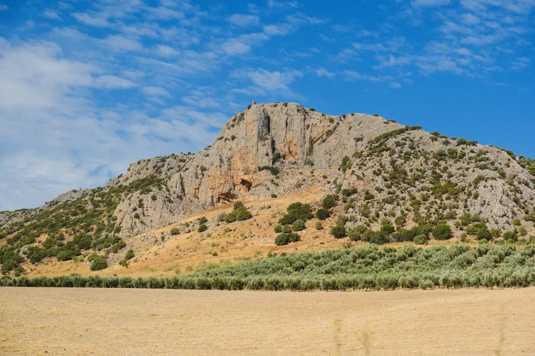 Via Verde del Aceite Photo