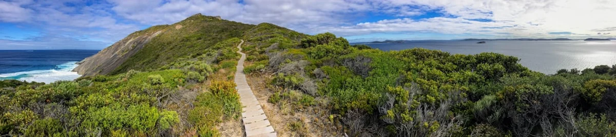 Wild Dog Creek Track Photo