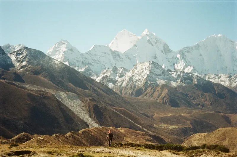 a man standing on top of a lush green hillside