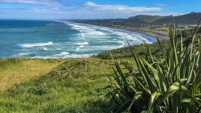Beach Gait Training - Muriwai