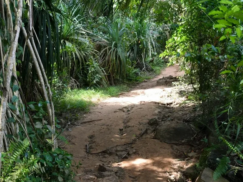 Hiking trail path on the Adams Peak